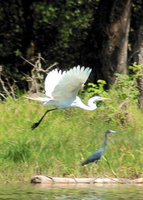 Concurso de fotografía mundial