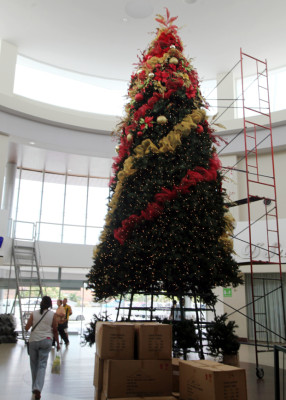 Presentarán plan para promover comercio sampedrano