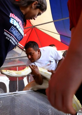 El Festival del Niño 2015 fue todo un éxito