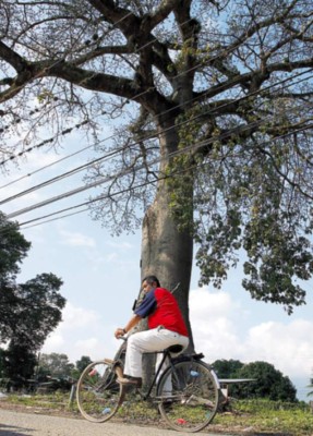 Ceibón no está en área municipal