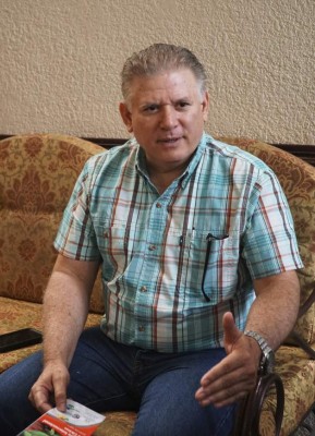 En diez años, plaga redujo a la mitad la citricultura nacional