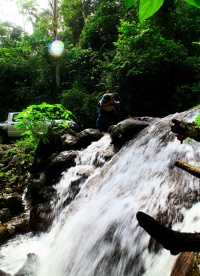Explore el Cusuco, la joya natural que encuentra en El Merendón