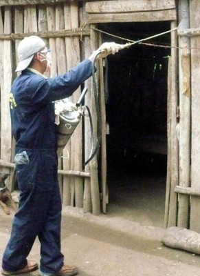 Honduras: Alarma por presencia de la chinche del mal de chagas en aldeas de Yoro