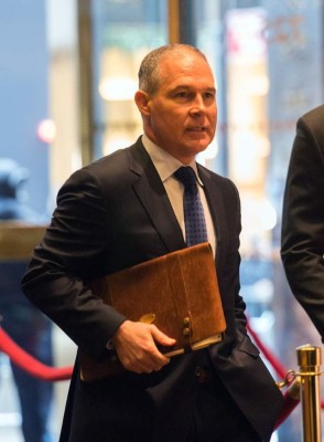 Ambientalistas se preparan para combatir a Trump