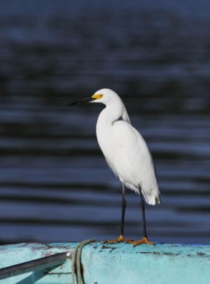 Parque Jeannette Kawas, un paraíso natural que cautiva