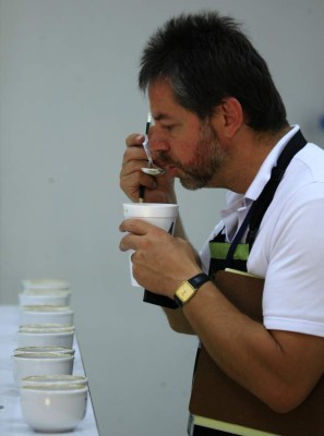 Unos 500 quintales de café hondureño se venderán en subasta