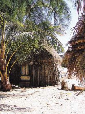 Seducidos por el calor caribeño