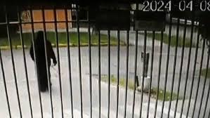 Monja en Chile deja en la calle restos óseos de compañera muerta un año atrás