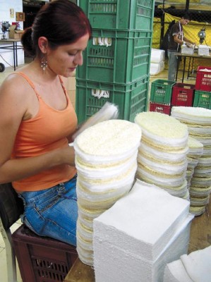 Pastes, sello catracho en el mercado mundial