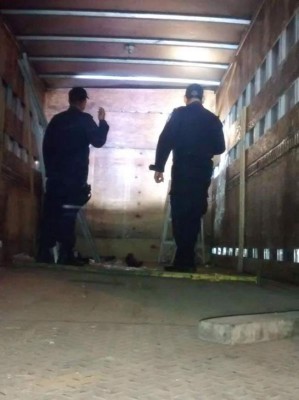 Hallan 1,438 kilos de marihuana en compartimiento oculto de camión