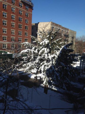 Fotos de hondureños afectados por la tormenta de nieve en EUA