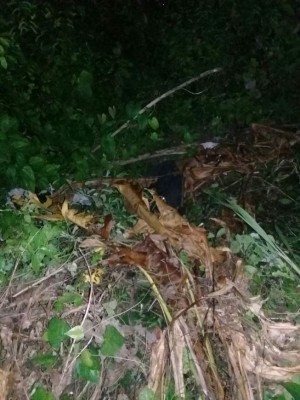 Matan a un joven de 20 años en La Ceiba
