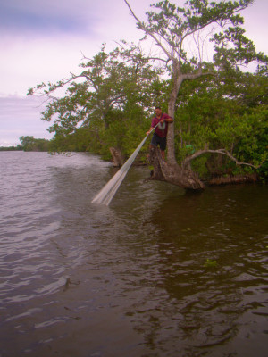 Al fin inician recuperación de la laguna de Alvarado en Puerto Cortés