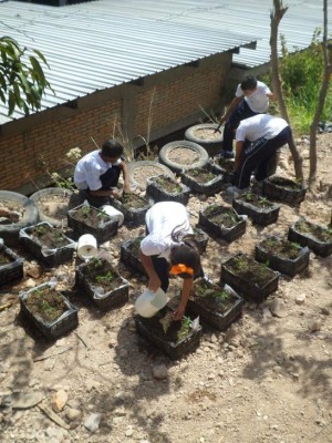 Viene la Semana Global del Emprendimiento  