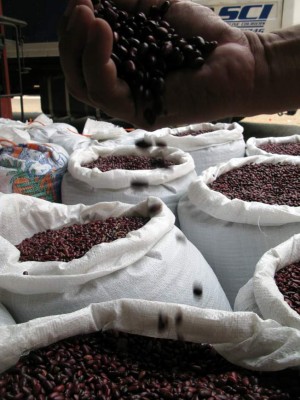 85% de productores fuera de fideicomiso