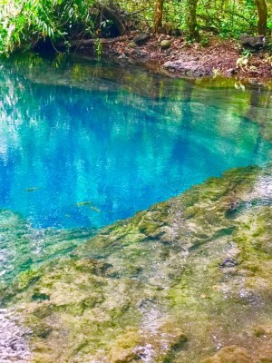 FOTOS: Pozo azul, el misterioso nacimiento de agua escondido en San Buenaventura  