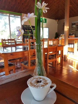 Santa Rosa de Copán, la capital del buen café