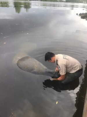 Cierran playas de Palm Beach por 'rara' presencia de la tóxica marea roja
