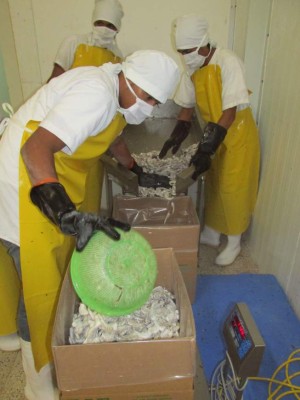 Honduras busca pronta solución a bloqueos de productos del agro