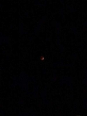 Lectores de LA PRENSA reportan como ven el eclipse lunar