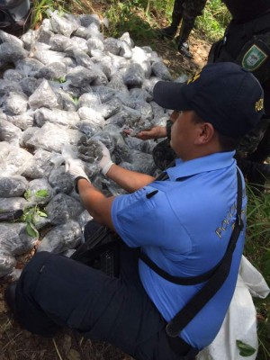 Detenidos y un almacén desmantelado deja operativo en El Merendón