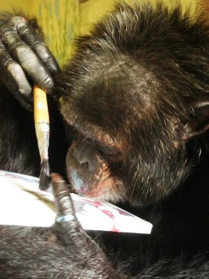 'Bubbles”, el simio con dotes artísticos