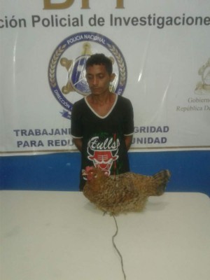 In fraganti capturan al terror de las gallinas en Choluteca