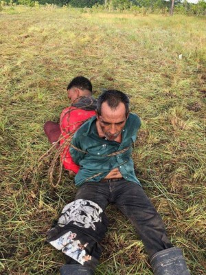 Interceptan avioneta con droga en Gracias a Dios