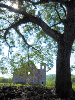 Los tesoros que el cólera dejó