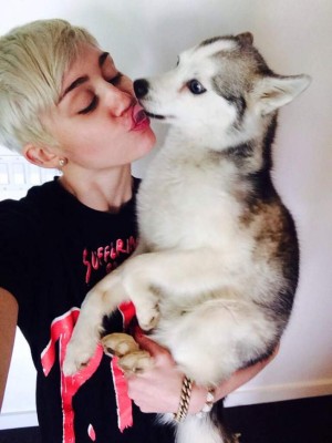 Miley Cyrus lamenta la muerte de su perro