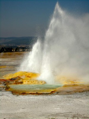 Yellowstone bisontes, osos y géiseres