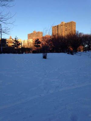 Fotos de hondureños afectados por la tormenta de nieve en EUA