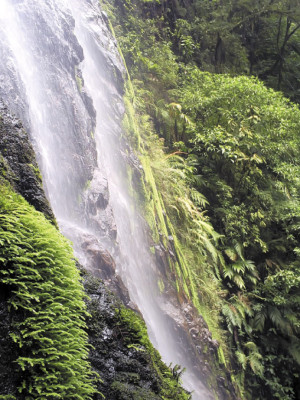 Los secretos de La Tigra