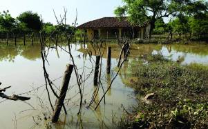 Las acciones de limpieza tras las inundaciones en El Cubulero y otras comunidades inició ayer, pero teniendo en agenda que continuará por varios días.