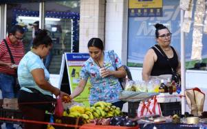 Algunas buscan trabajo en empresas, otras e n el mercado informar, pero lo cierto es que cientos de mujeres hondureñas luchan a diario por mantener sus hogares, tener éxito profesional e incursionar en otros campos en lo que han sido exclusivamente para hombres.