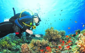 Un turista practica buceo en Roatán, Honduras.