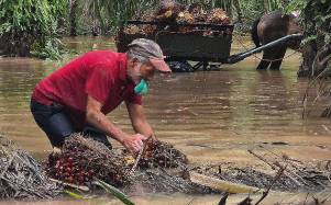 Casi el 15% del territorio hondureño es susceptible a quedar inundado.