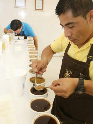 Sube estándar de cafés gourmet en Taza de Excelencia