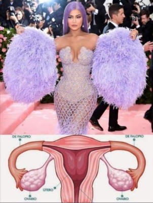 Los mejores memes de la Met Gala 2019