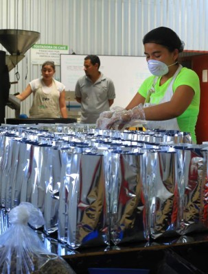 Hasta en Ucrania venden café productores de Corquín, Copán