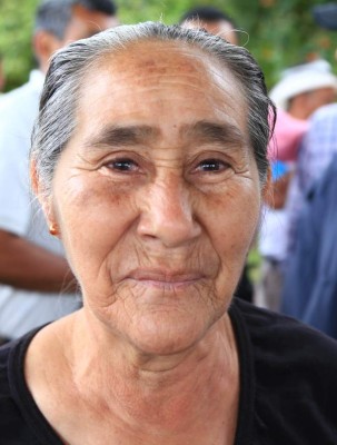 Inicia programa para reforestar El Merendón en San Pedro Sula