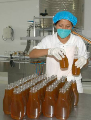 Construyen planta para envasar miel hondureña