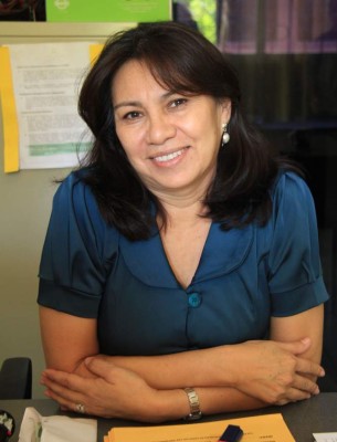 El 70% de las escuelas y colegios están fumigados