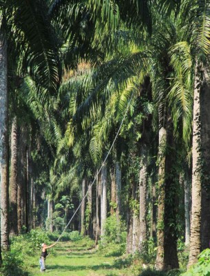 Foto: La Prensa