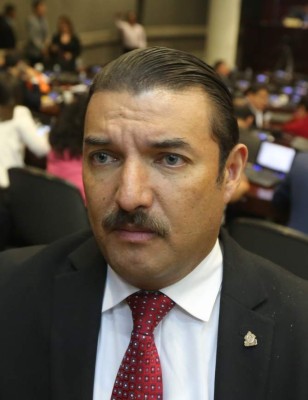 En 15 días discutirán reglamento para regular la reelección en CN