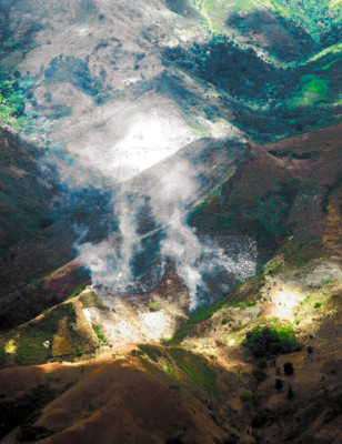 Depredadores no reciben castigo por falta de jueces y fiscales