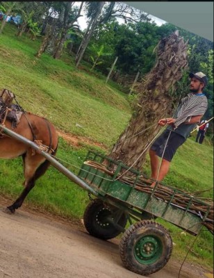 Los momentos mágicos de Tabare junto a su bicicleta 'América' en Honduras