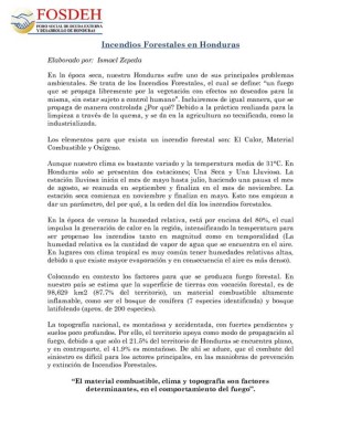 Incendios han destruido más de 44 mil hectáreas anuales desde 2010