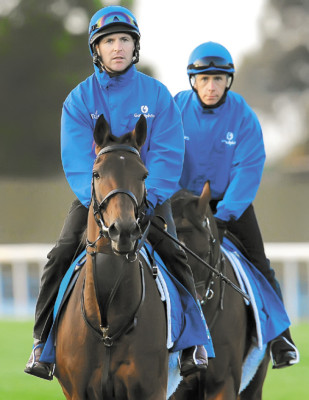 Fiesta hípica: la copa Melbourne en Australia