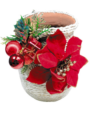 Pequeñas manos prodigiosas